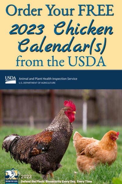 2023 chicken calendar cover