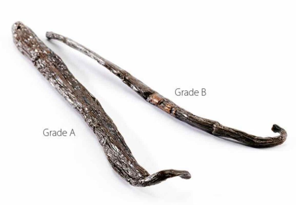 Grade A vs Grade B Vanilla Beans