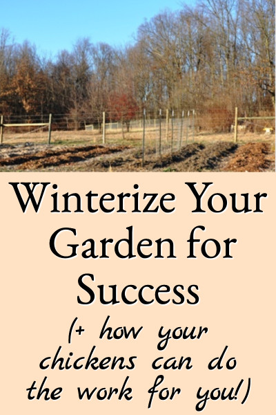 winterize your garden for success