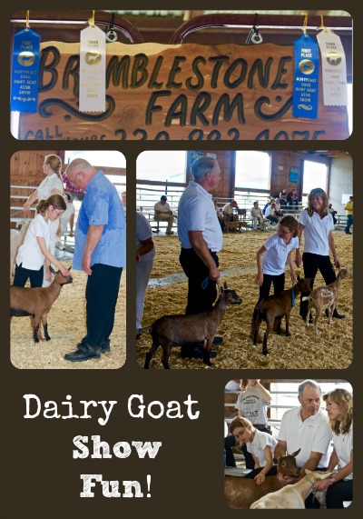 Goat Show Fun Collage via Better Hens and Gardens