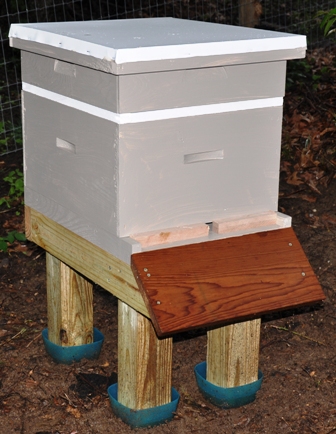 Assembled Honey Bee Hive