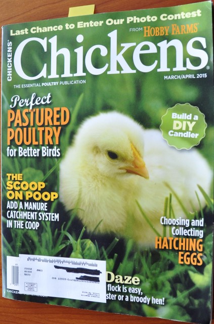 Mar_April 2015 Chickens via Better Hens and Gardens