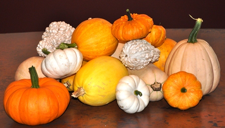 Decorative Fall Pumpkins & Gourds That Are Natural Dewormers